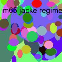 m65 jacke regiment schwarz